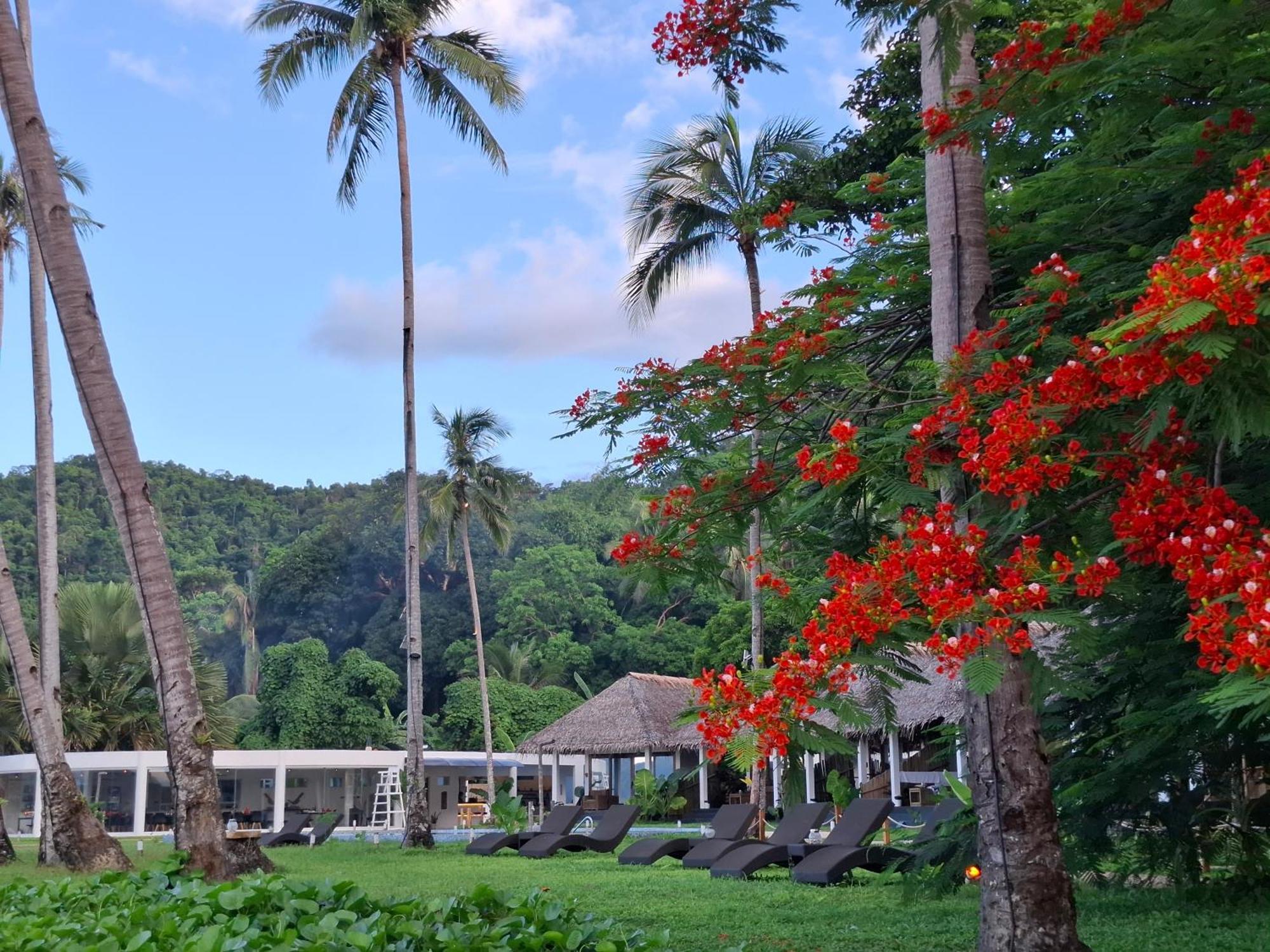 Bebeladan Beach Resort, In The Last Indigenous Corner El Nido Eksteriør bilde